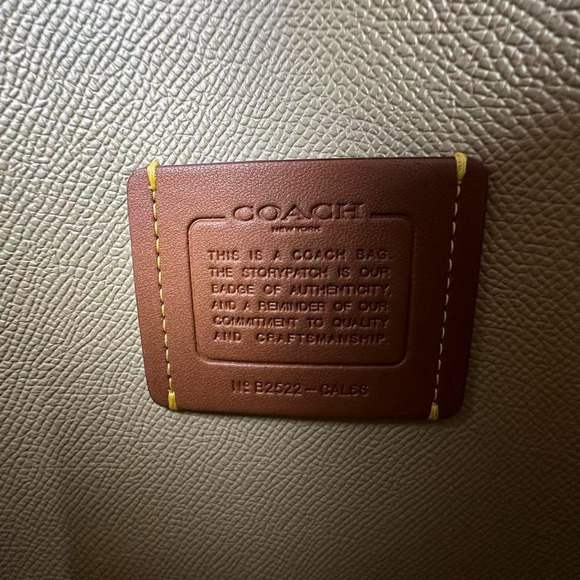 Coach Mollie Tote Bag 25 With Strawberry Print In Canvas/Gold/Chalk CAL66 NWT - Picture 8 of 11